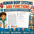 Human Body Systems & Functions Worksheets | Reading Comprehension & Assessments | Grades 4–8